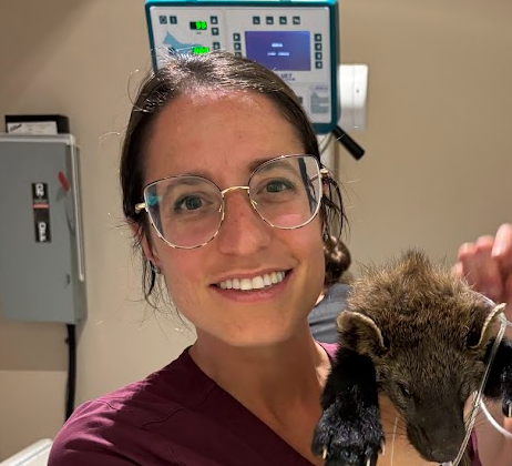 Profile for Karen Pedevillano